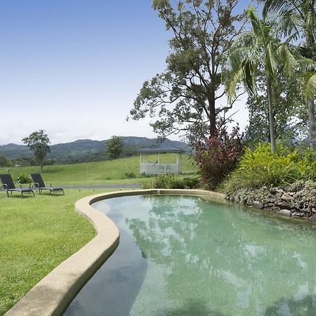 Bed and Breakfast Hillcrest Mountain View Retreat Crystal Creek Exterior foto