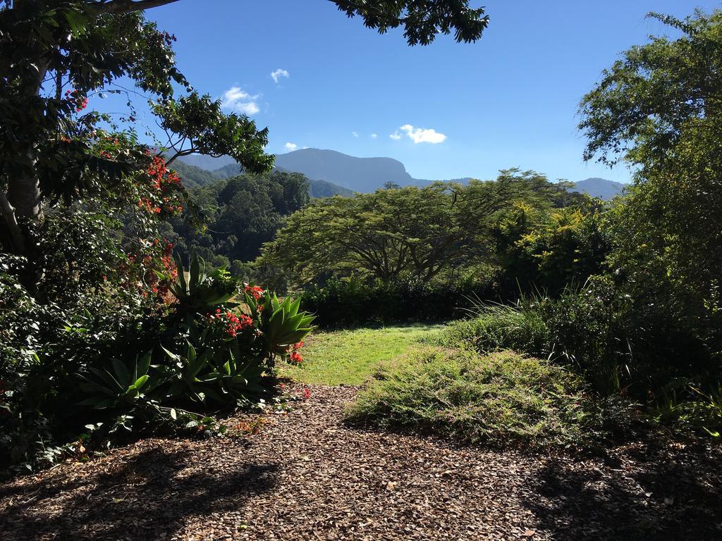 Bed and Breakfast Hillcrest Mountain View Retreat Crystal Creek Exterior foto